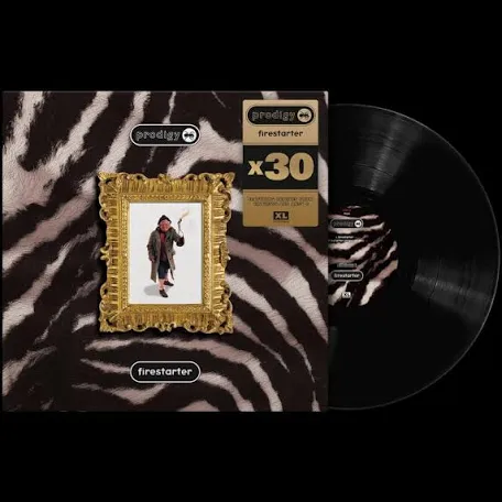 Prodigy- firestarter x30