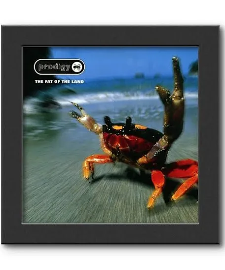 Show and Listen Vinyl Photo Frame Display