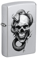 Skull and Snake