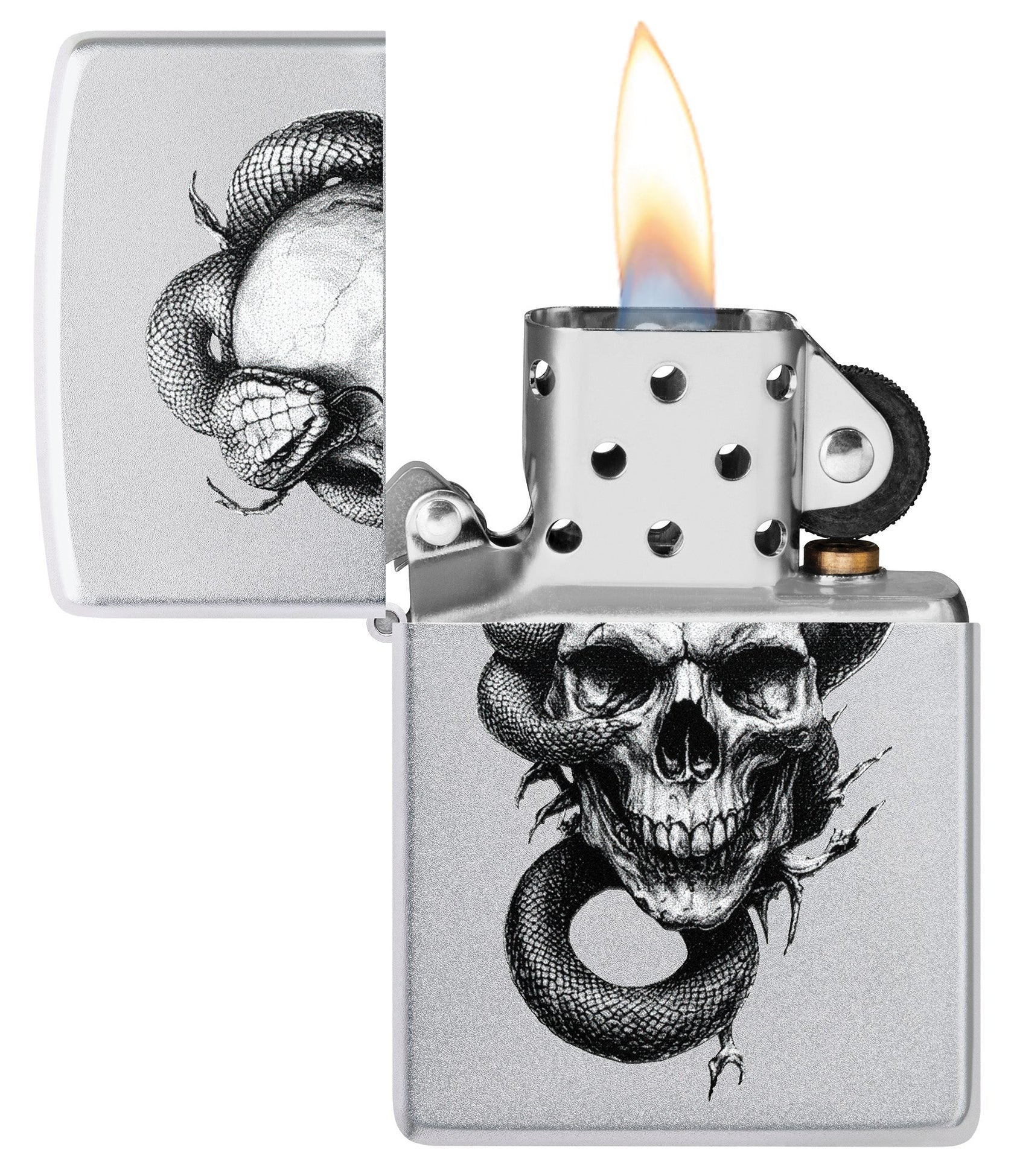 Skull and Snake