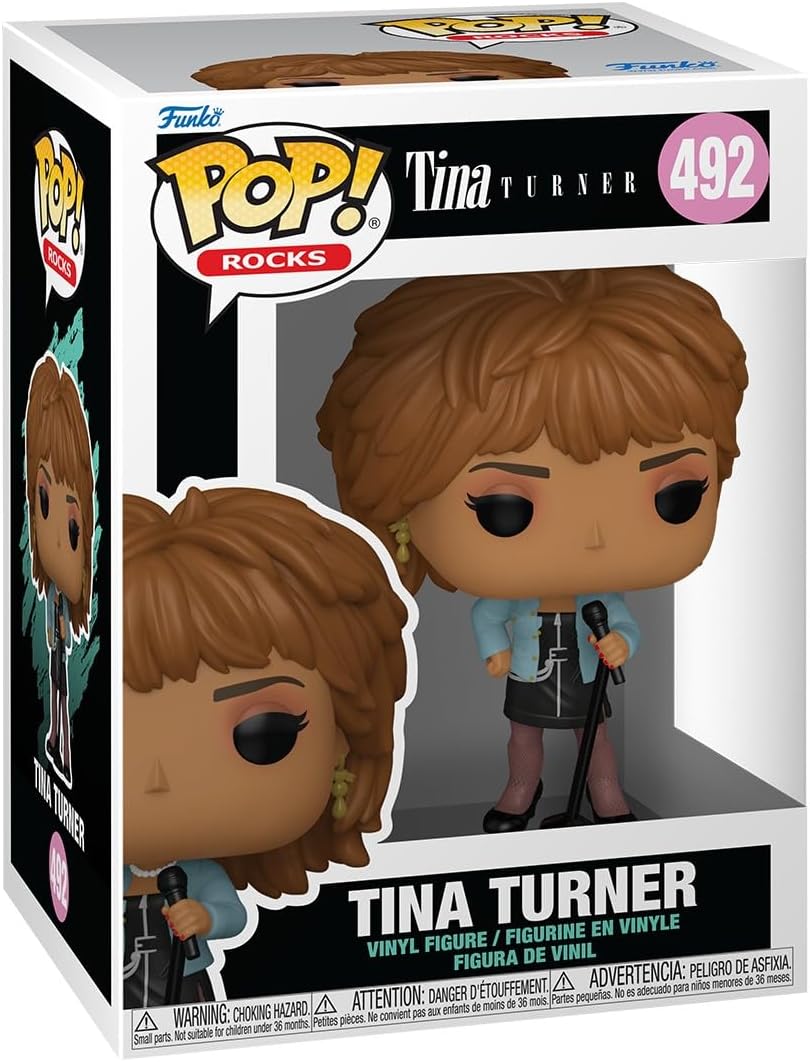 Tina Turner - What's Love Got to Do With It