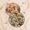 The Last Dinner Party - Prelude To Ecstasy Picture Disc