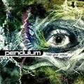 Pendulum- Hold Your Colour