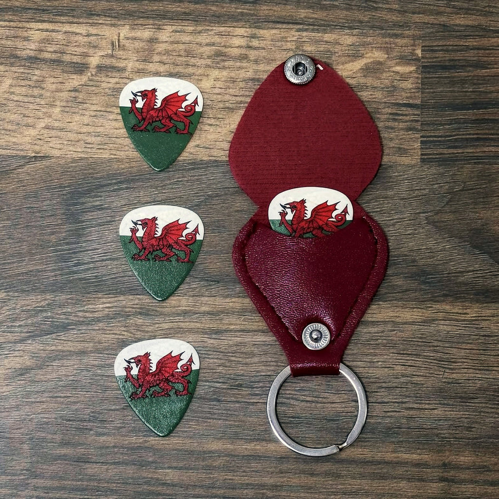 Wales Guitar Picks and Holder