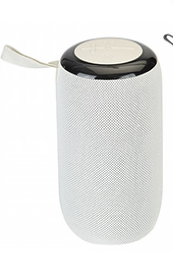 Sound Republik Extreme Wireless Speaker