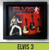 ELVIS-3